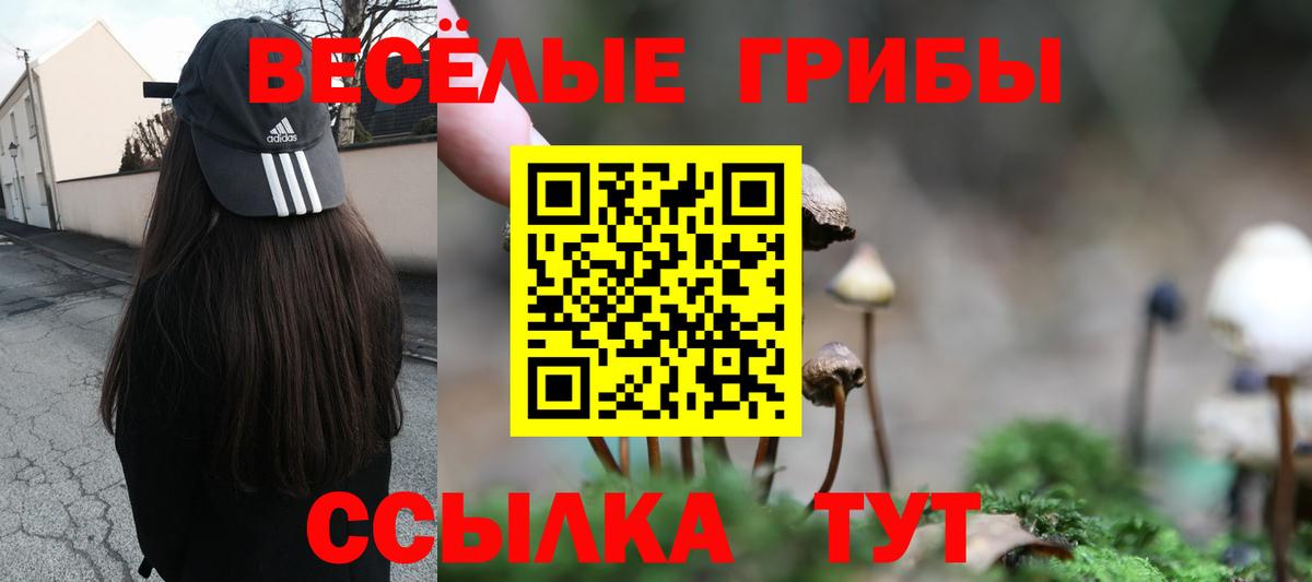 Псилоцибиновые грибы Magic Shrooms  Псилоцибиновые грибы GOLDEN TEACHER  Холмск  Вход с VPN 
